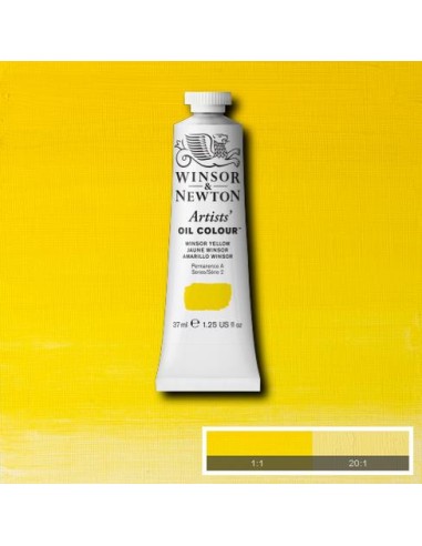 COLORE AD OLIO ARTISTS OIL COLOR...