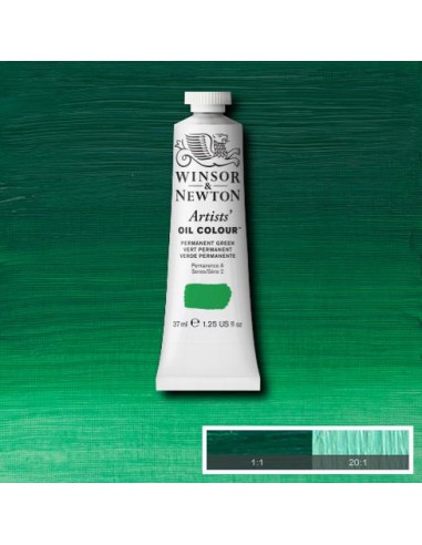 COLORE AD OLIO ARTISTS OIL COLOR...