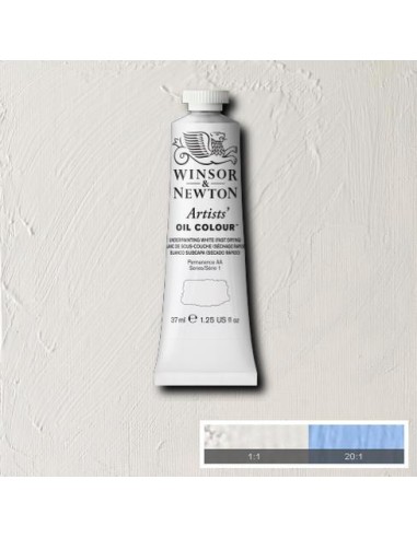 COLORE AD OLIO ARTISTS OIL COLOR...