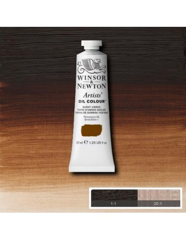 COLORE AD OLIO ARTISTS OIL COLOR...