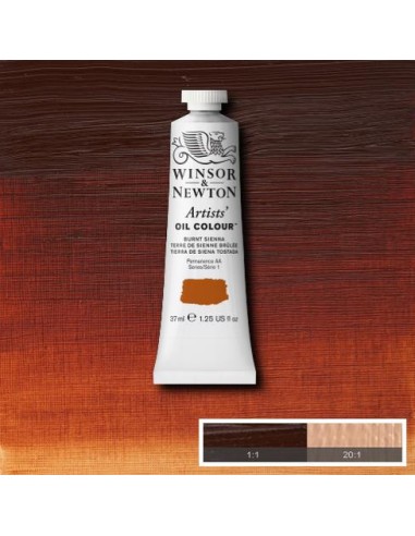 COLORE AD OLIO ARTISTS OIL COLOR...