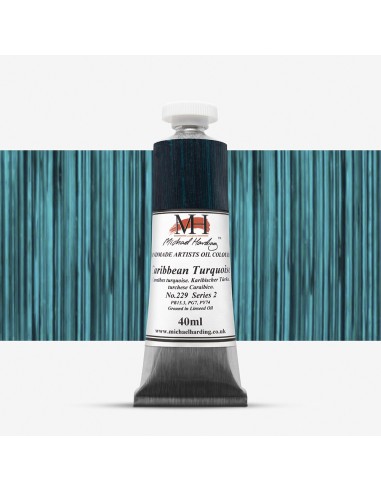 COLORE AD OLIO EXTRAFINE MICHAEL HARDING