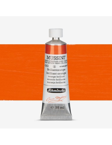 COLORE AD OLIO EXTRAFINE MUSSINI...