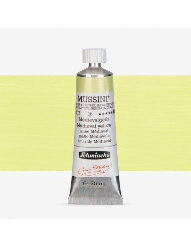 COLORE AD OLIO EXTRAFINE MUSSINI...