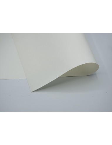 CARTA BISILICONATA BIANCA