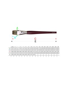 PENNELLO DAVINCI IN SPELO... 2