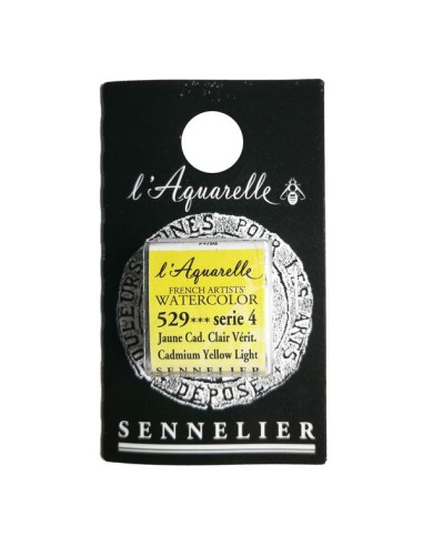 ACQUERELLO EXTRAFINE SENNELIER IN...